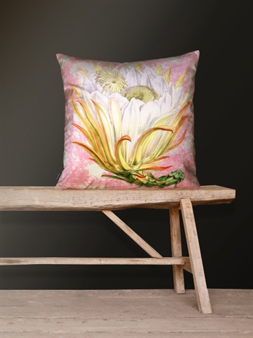 Vanilla Fly PROTEA PINK TOILE pude 